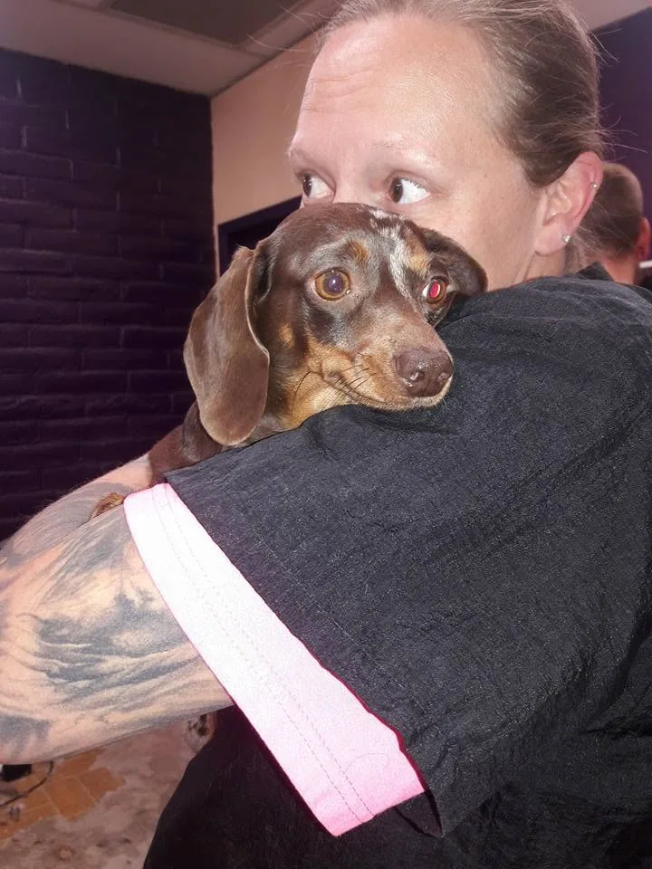 A Top Paw groomer gently comforting a nervous dog