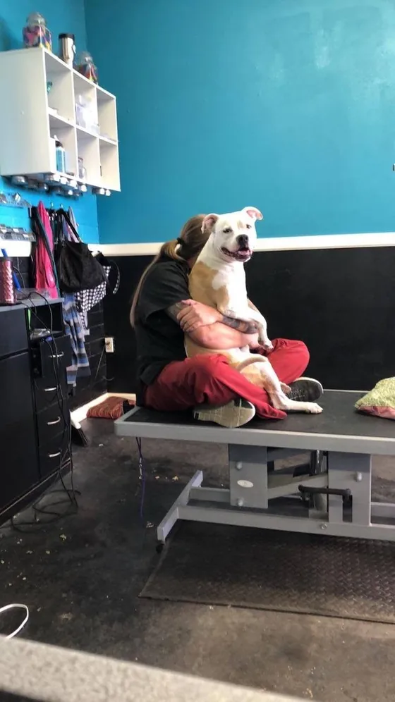 Groomer hugging a happy client dog
